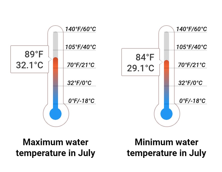 Average Sea temperature